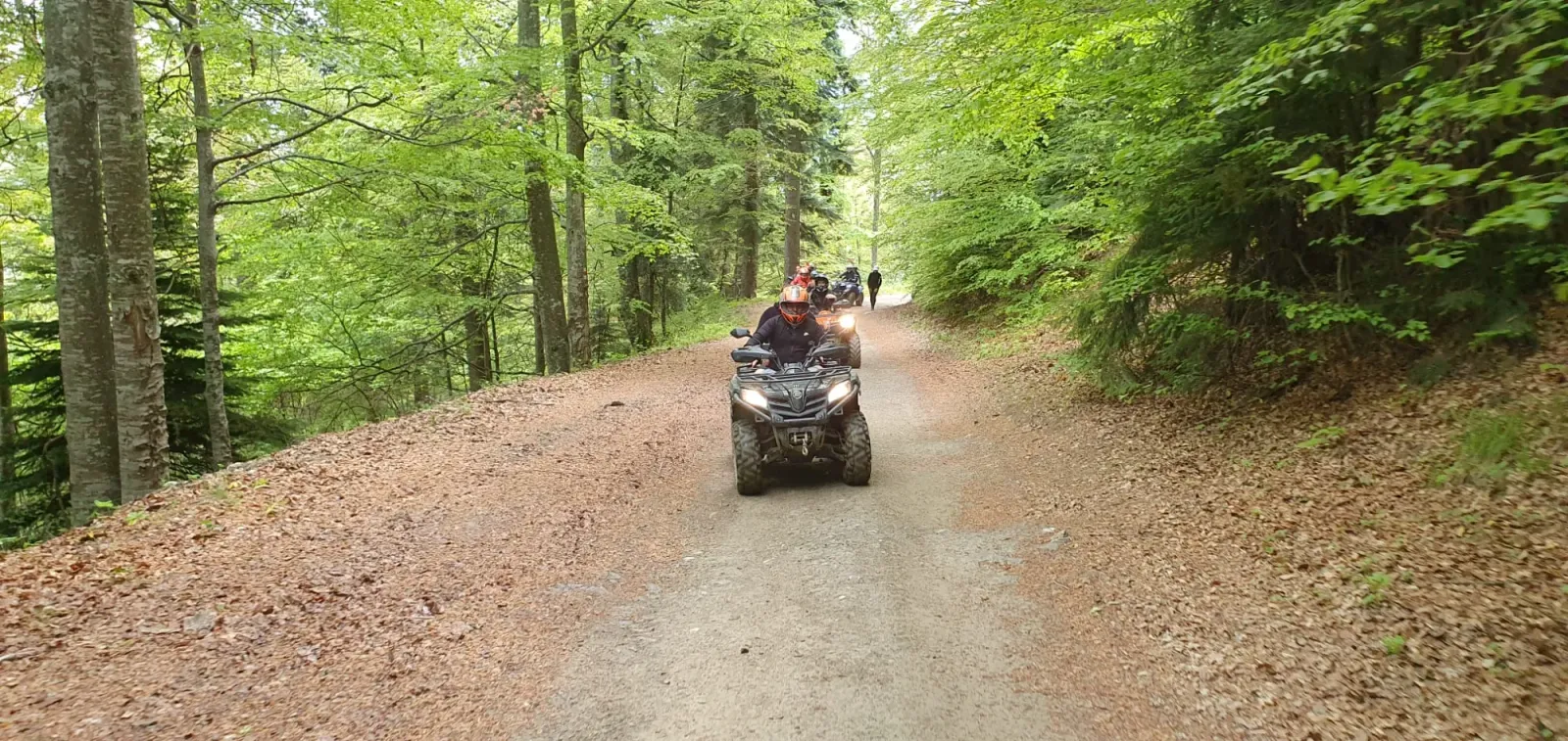 Închirieri ATV Bușteni – Vila Aluniș